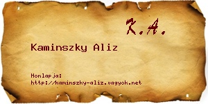 Kaminszky Aliz névjegykártya